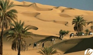 Kemuliaan Hasan Bin Ali