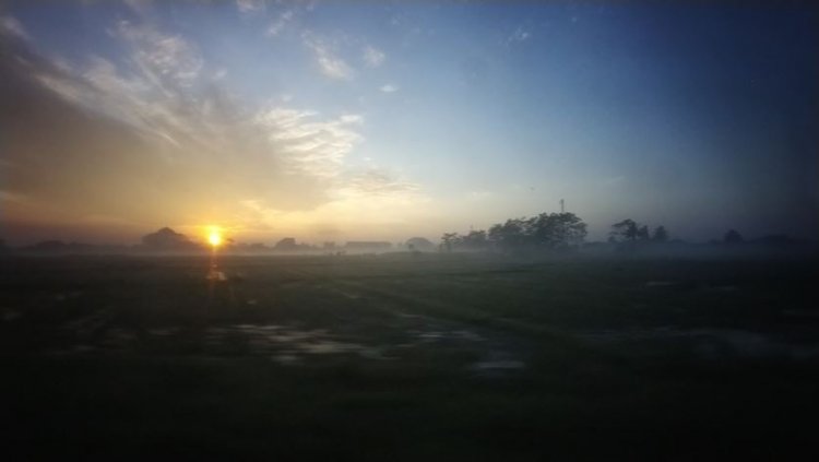 MENTARI PAGI