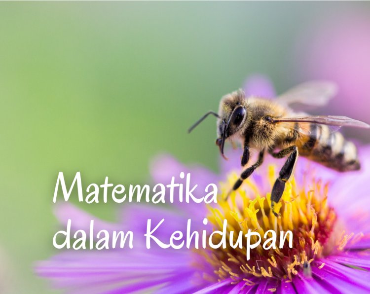 Matematika dalam Kehidupan