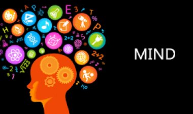 Hal yang Mampu Menurunkan Fungsi Akal