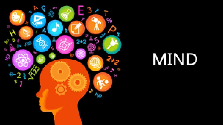 Hal yang Mampu Menurunkan Fungsi Akal