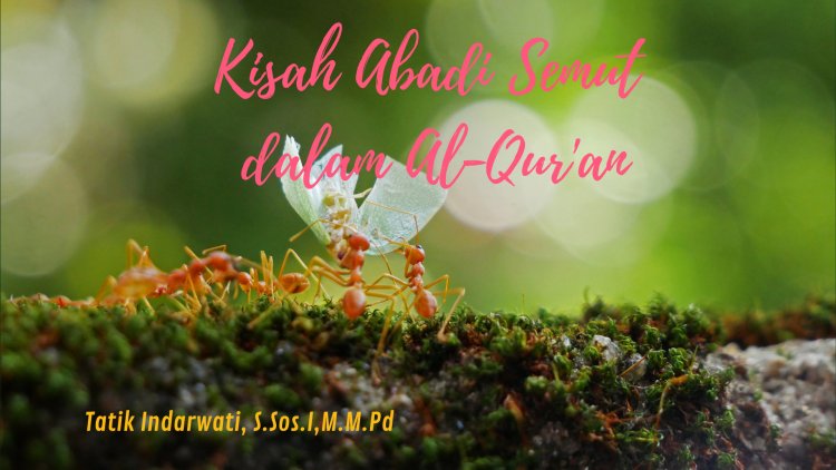 Kisah Abadi Semut dalam Al-Qur'an