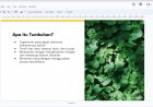 Membuat presentasi Dengan ekstensi MagicSlides di Google Slides