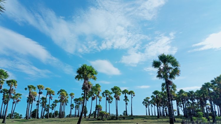 Melodi Sang Mentari di Alam Biru