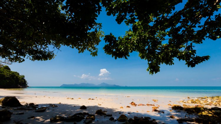 Pasir yang Bisu: Cerita Keheningan Pantai