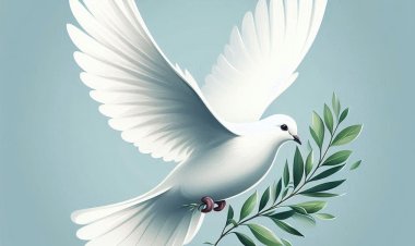 Merpati Putih, Simbol Cinta