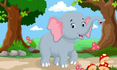 Mimpi Gajah Kecil di Lembah Pelangi