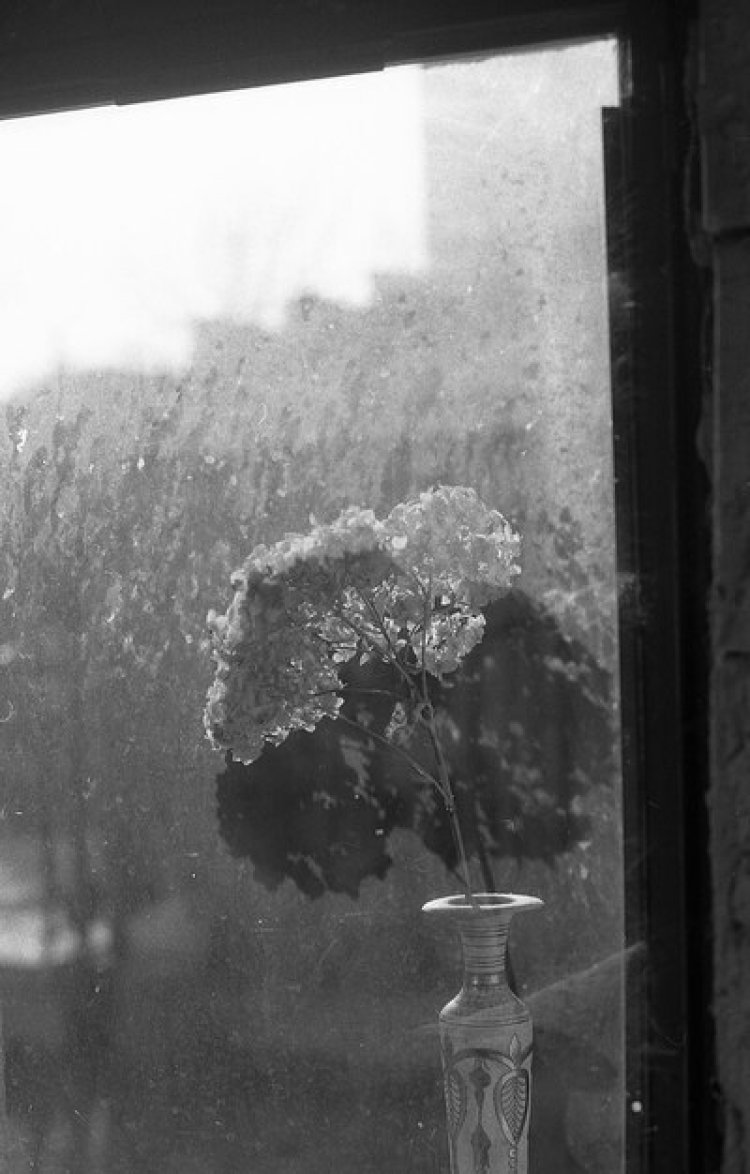 Rintik Hujan di Jendela Senja