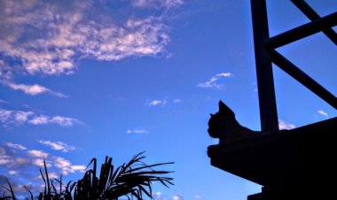 Langit Patah di Ujung Doa