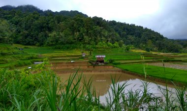 Grace From The Divine Rabbi