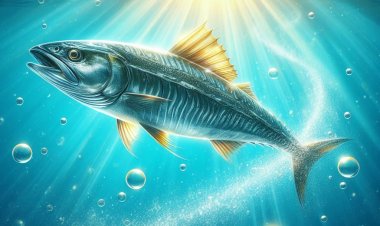 Manfaat Kesehatan Luar Biasa dari Konsumsi Ikan Lomek