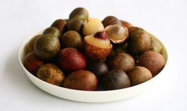 Manfaat Luar Biasa dari Memakan Buah Matoa: Kesehatan dan Kenikmatan dalam Satu Gigitan