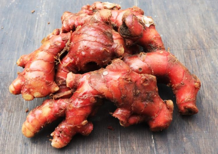 Jahe Merah: Rahasia Kekuatan Alam untuk Meningkatkan Kekebalan Tubuh Anda