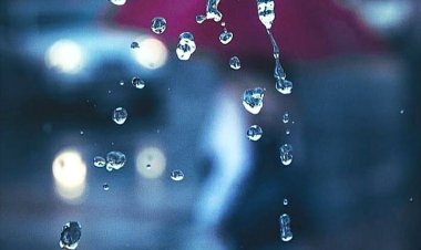 Nada Hujan: Lagu Hati Bumi yang Merdu