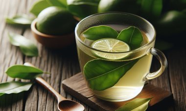 Menggali Manfaat Luar Biasa dari Rebusan Daun Jeruk Nipis: Ramuan Tradisional yang Menyegarkan dan Berkhasiat