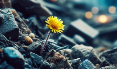 Cinta Abadi di Reruntuhan Waktu