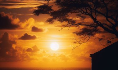 Sentuhan Hangat dari Langit: Pesona Matahari