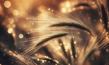 Embun Senja di Pelukan Hujan