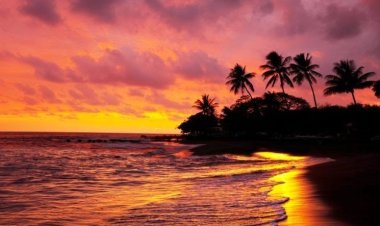 Senja dalam Dekapan Kenangan