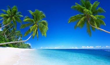 Kanvas Biru Lautan Jiwa