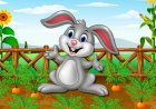 Kelinci Kecil dan Kebun Wortel