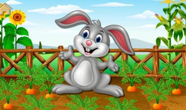 Kelinci Kecil dan Kebun Wortel