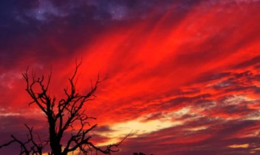 Langit Merah: Kisah di Antara Bintang