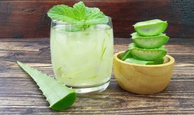 Manfaat Luar Biasa Jus Lidah Buaya: Memperkuat Kesehatan Tubuh dengan Keajaiban Alami