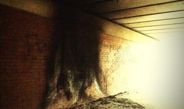 Rahasia di Ruang Bawah Tanah