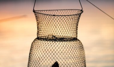 Bait-Bait Rindu yang Tak Terucap