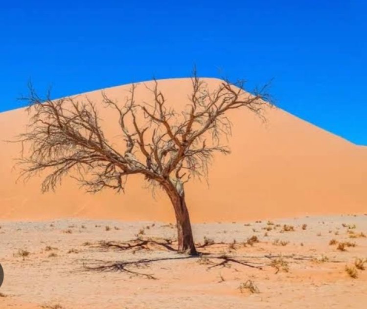 Hati Laksana Tanah: Kering dan Gersang Tanpa Zikir
